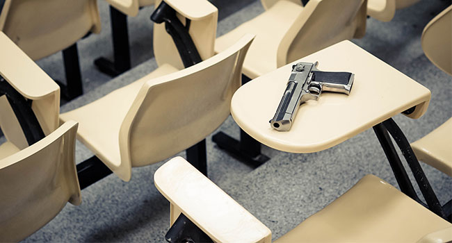 More Guns are the Last Things we need in our Schools 