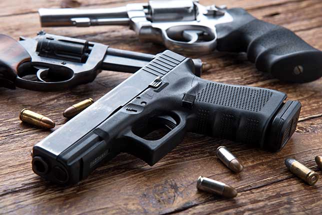 Kansas gun safety education program