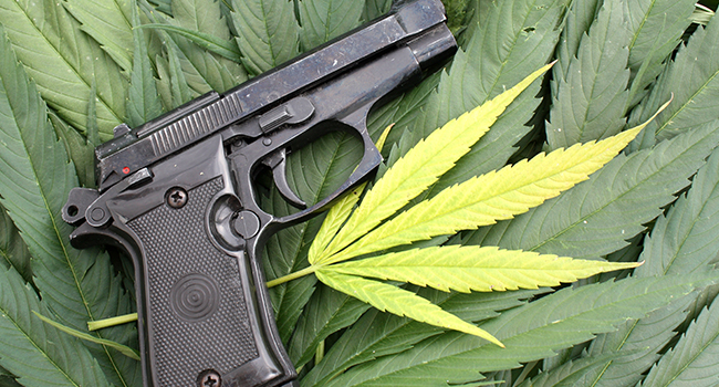 Student Arrested at Alaska School with Gun, Marijuana